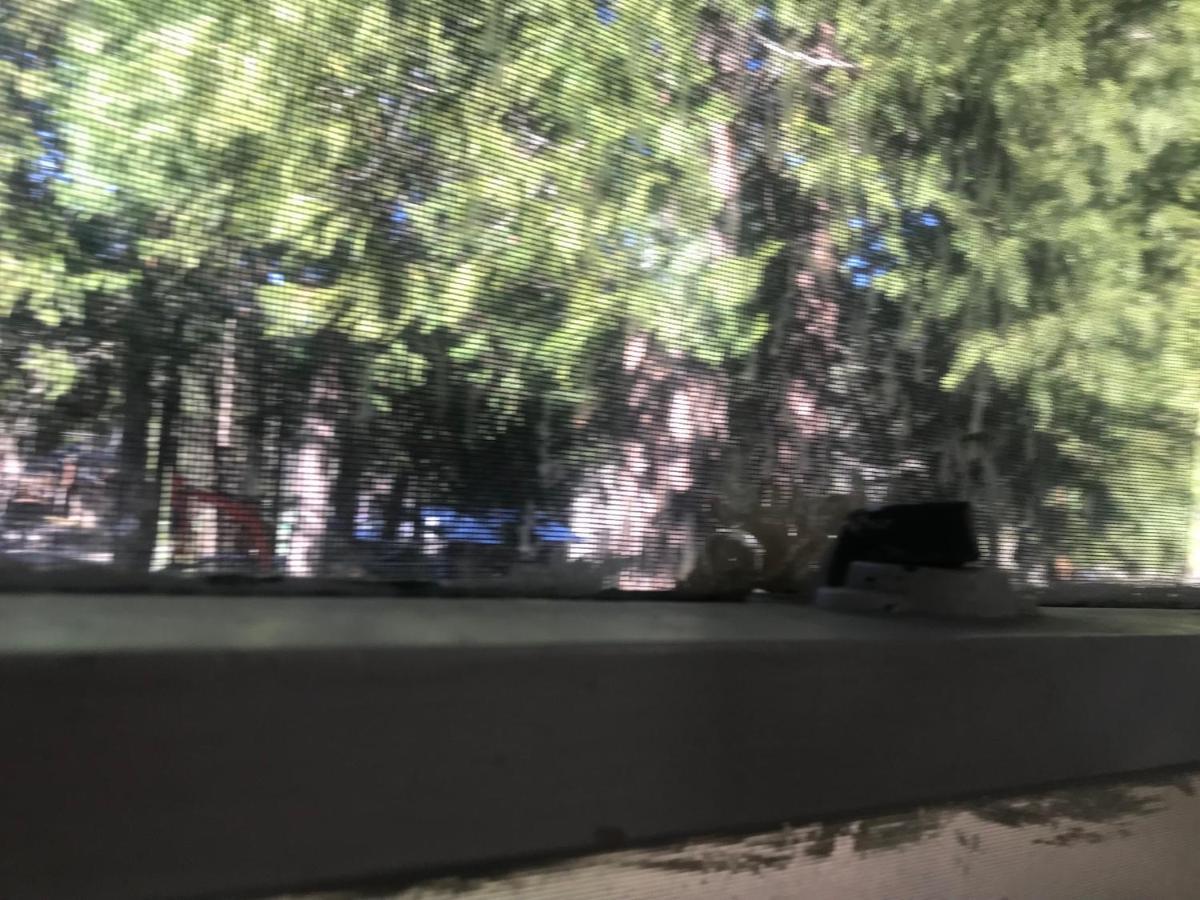 Dunsmuir Lodge Kültér fotó